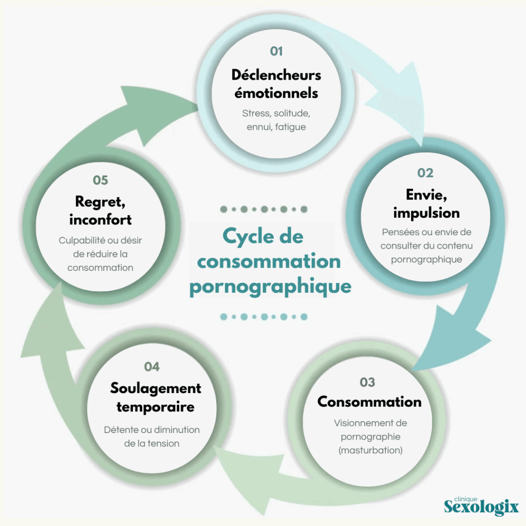 Schéma illustrant un cycle de consommation pornographique incluant déclencheurs émotionnels, envie, consommation, soulagement temporaire et regret.